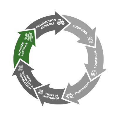 Agrigold - chaîne valeur activite foncier agricole togo