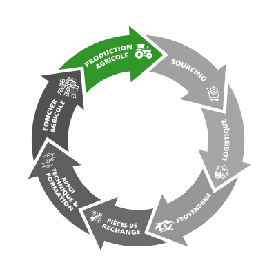 Agrigold - chaîne valeur production exploitation agricole